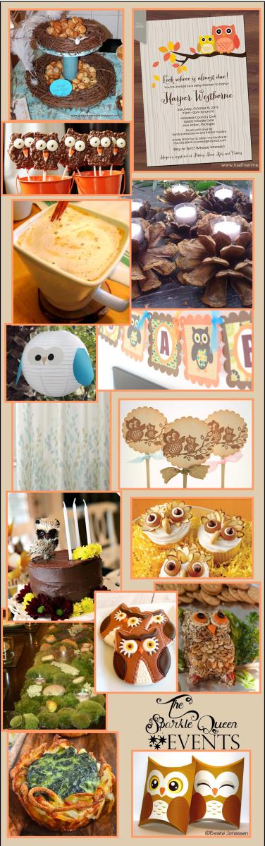 Rustic Owl Baby Shower {Mostly DIY}