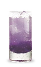 Grape Crush Cocktail – shared on Complete Cocktails