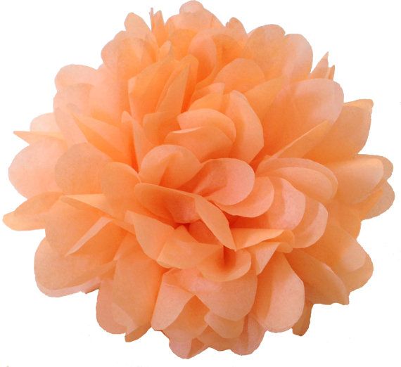 14 Inch Peach Pom Pom Hanging Decoration – made by TamsCorner on Etsy