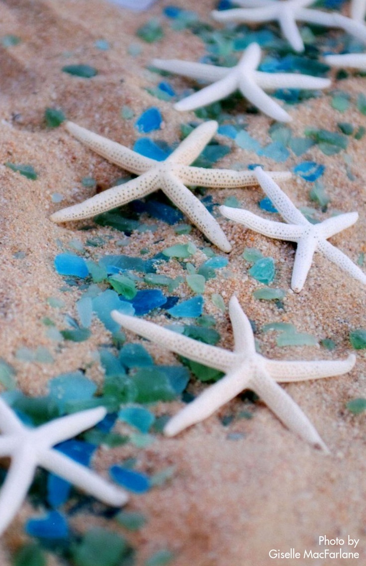 Starfish and Sea Glass in the Sand – shared on Farmhouse 38