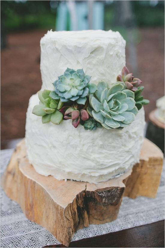 Succulent Decorated Wedding Cake – shared on The Wedding Chicks