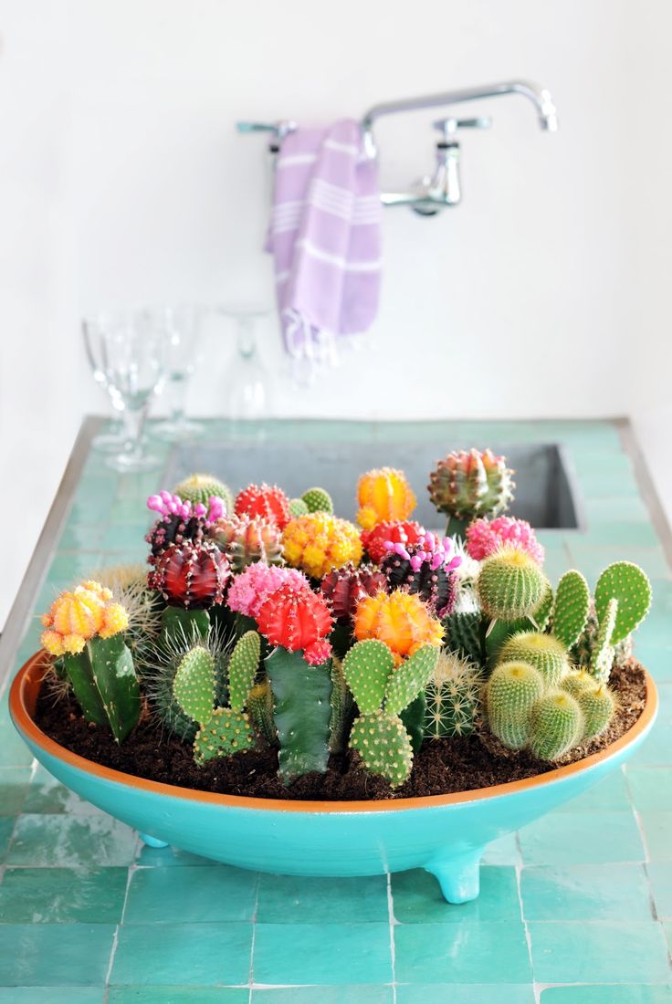 Succulent Centerpiece – shared on From Ezter With Love