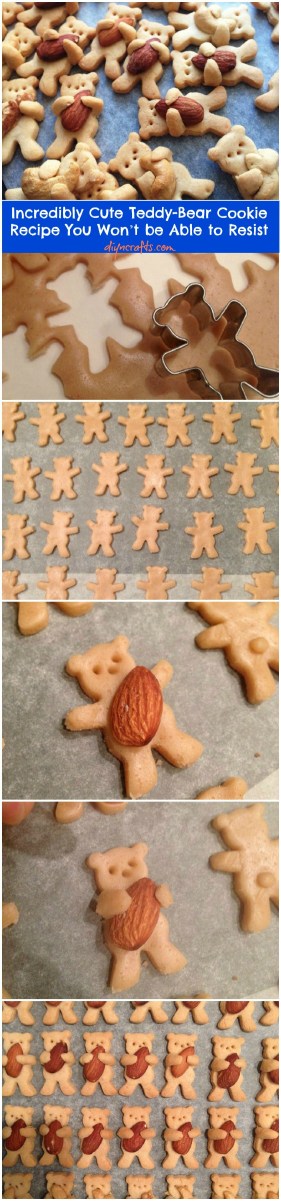 Teddy Bear Cookie Tutorial and Recipe – shared on DIY & Crafts