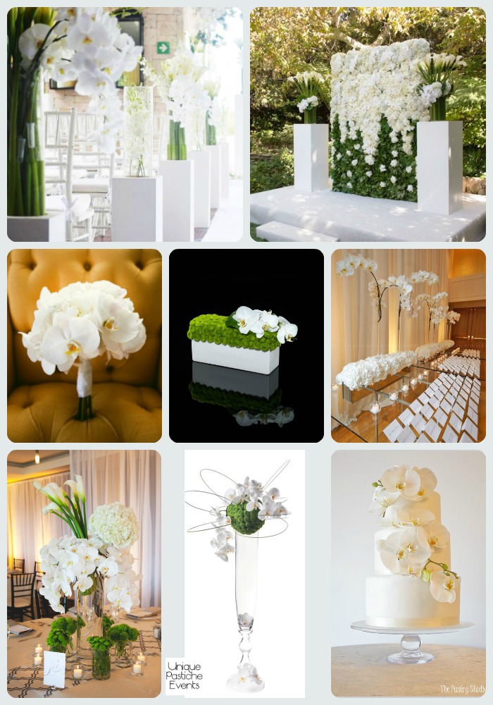 Modern White Orchid Outdoor Wedding See the full post with all the details here: https://uniquepasticheevents.com/2016/04/13/modern-white-orchid-outdoor-wedding-ideas/