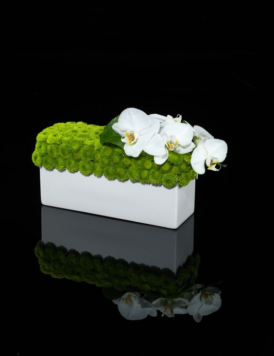 White Orchids and Green Accent Flower Modern Centerpiece – spotted on Pinterest
