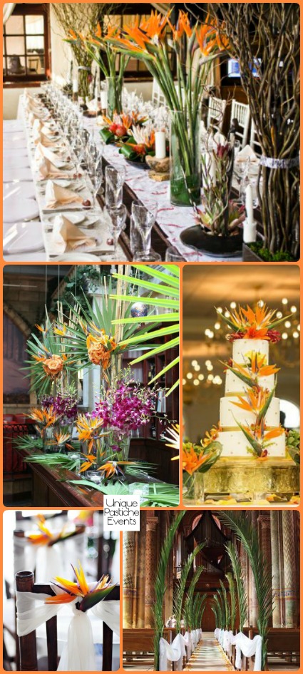 Bird of Paradise Tropical Wedding