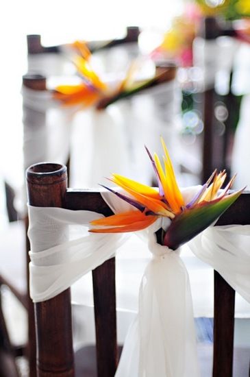 Bird of Paradise Wedding Chair Décor – featured on Elevophotography