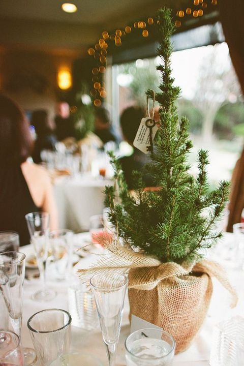 Burlap Wrapped Fir Tree Christmas Centerpiece – shared in a roundup post on Happy Wedd
