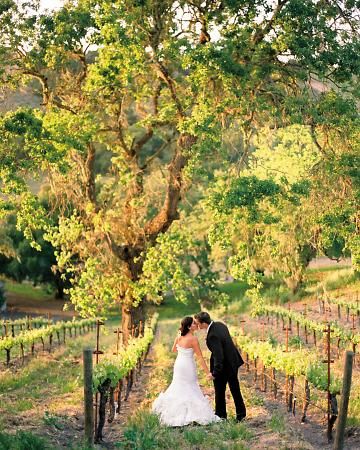 Outdoor Wedding in a Vineyard – shared on Martha Stewart Weddings