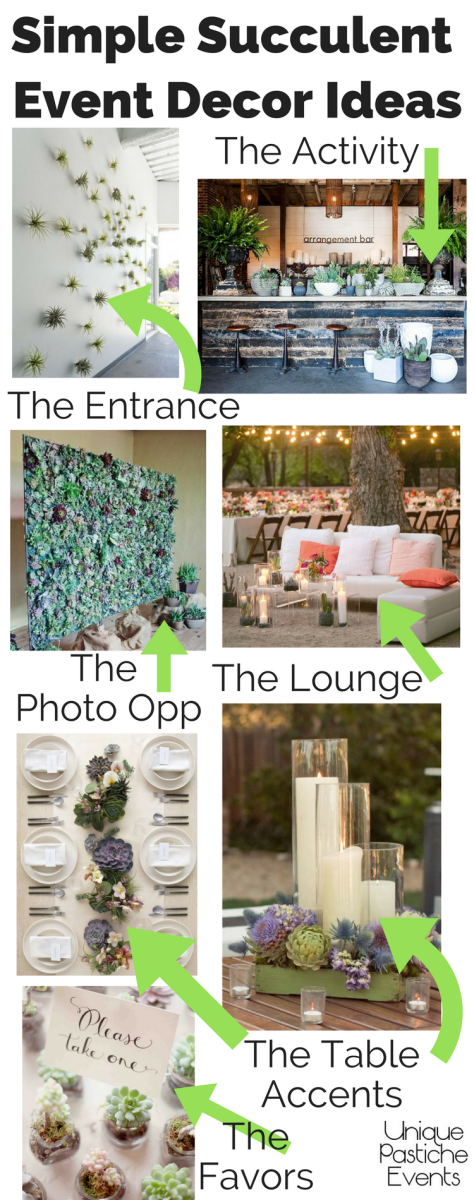 Simple Succulent Event Decor Ideas