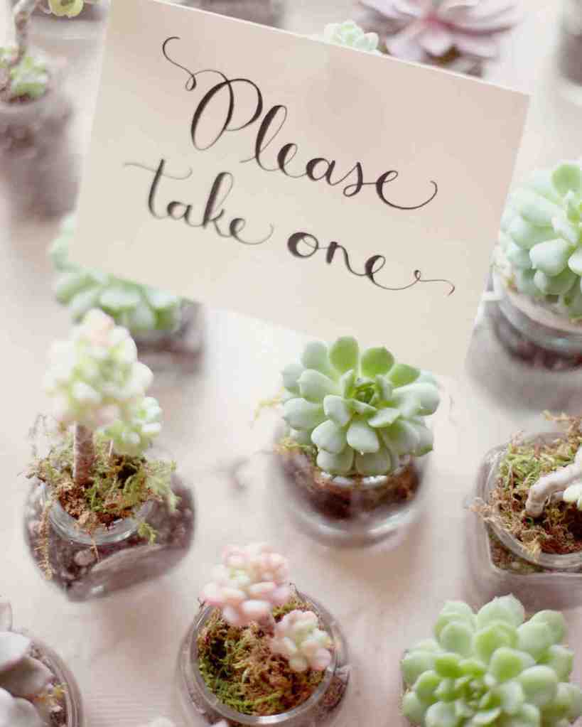Small Succulent Party Favors in Glass  shared on Martha Stewart Weddings |  Unique Pastiche Events
