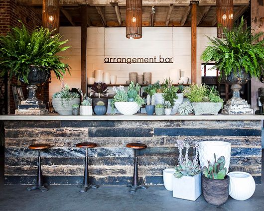 Succulents Arrangements Bar – shared by SF Girl by Bay