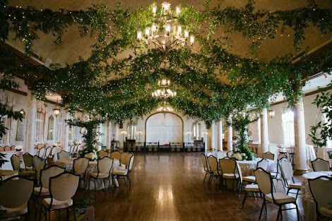 Ballroom Ceiling Covered in Growing Green Vines and Fairy Lights